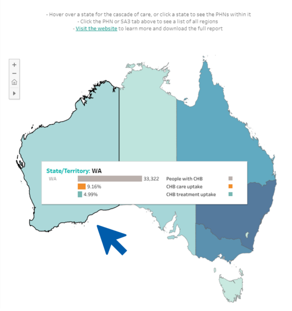 Viral Hepatitis Mapping Project : National Reports | ASHM Health